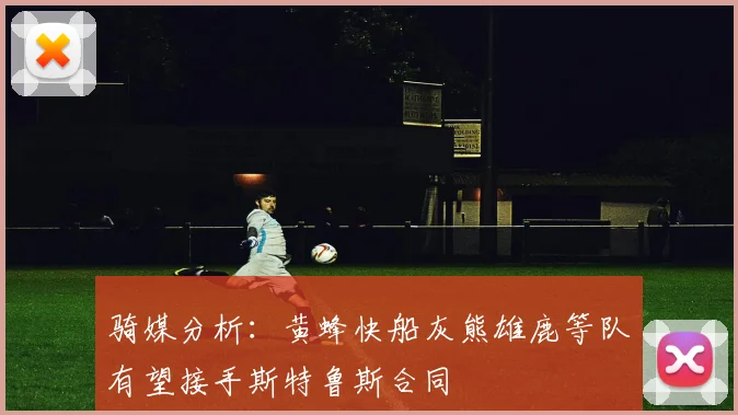 骑媒分析：黄蜂快船灰熊雄鹿等队有望接手斯特鲁斯合同